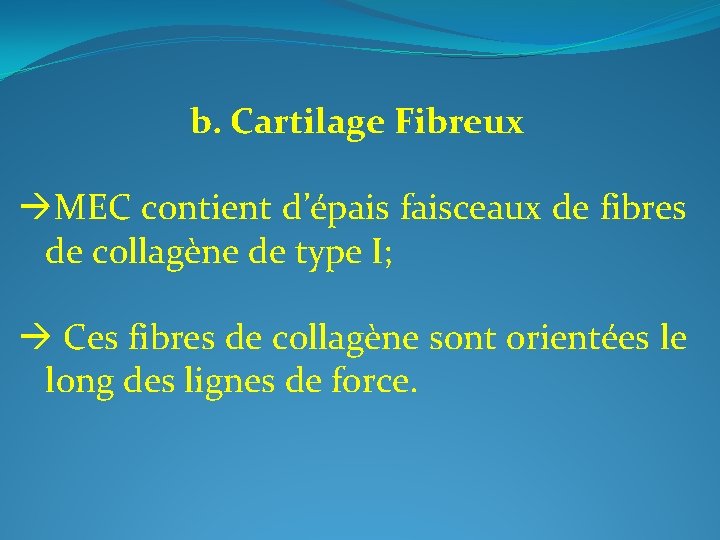 b. Cartilage Fibreux MEC contient d’épais faisceaux de fibres de collagène de type I;