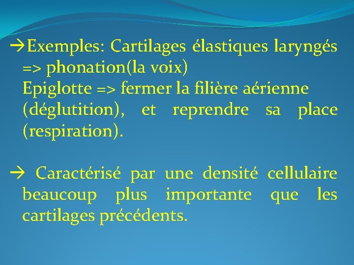  Exemples: Cartilages élastiques laryngés => phonation(la voix) Epiglotte => fermer la filière aérienne