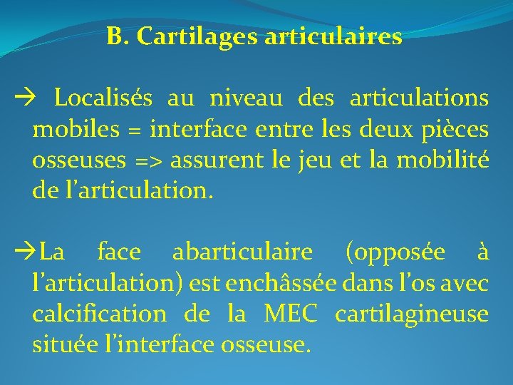 B. Cartilages articulaires Localisés au niveau des articulations mobiles = interface entre les deux