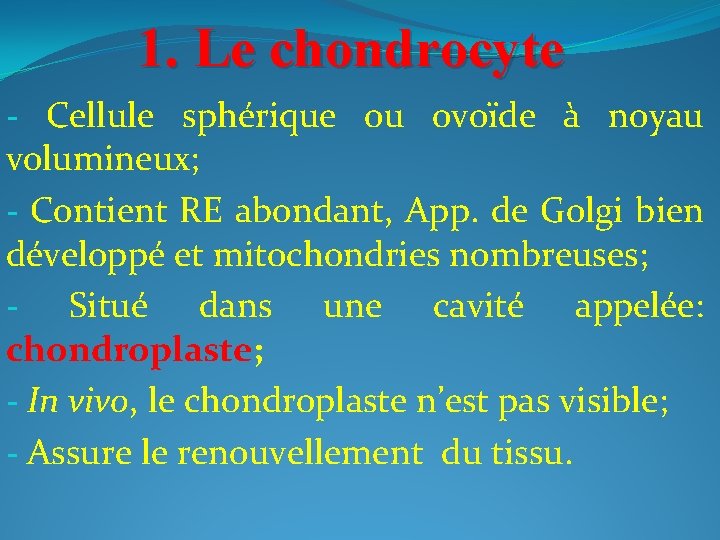1. Le chondrocyte - Cellule sphérique ou ovoïde à noyau volumineux; - Contient RE