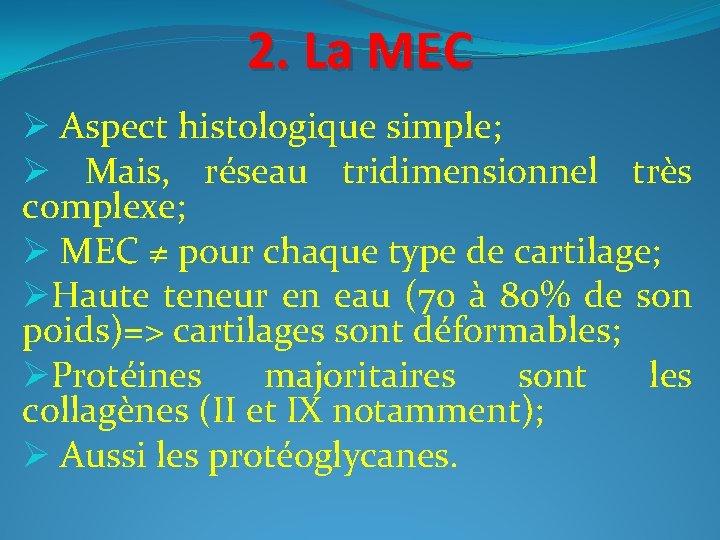 2. La MEC Ø Aspect histologique simple; Ø Mais, réseau tridimensionnel très complexe; Ø