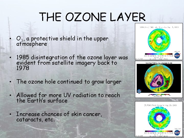 THE OZONE LAYER • O 3, a protective shield in the upper atmosphere •