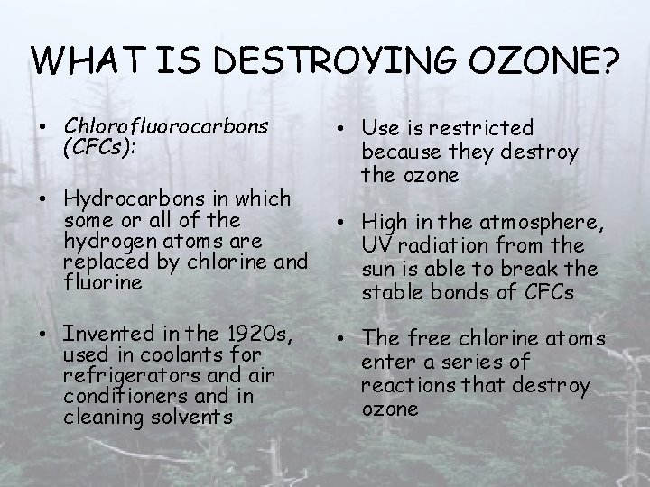 WHAT IS DESTROYING OZONE? • Chlorofluorocarbons (CFCs): • Hydrocarbons in which some or all