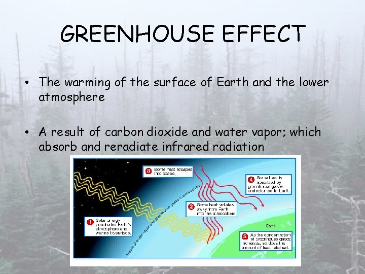 GREENHOUSE EFFECT • The warming of the surface of Earth and the lower atmosphere