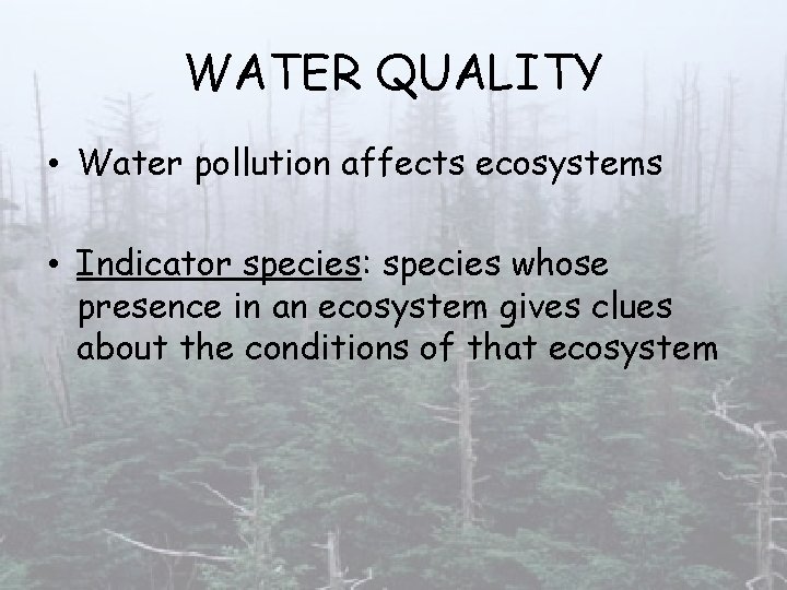 WATER QUALITY • Water pollution affects ecosystems • Indicator species: species whose presence in