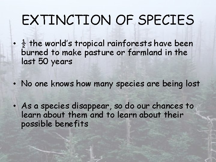 EXTINCTION OF SPECIES • ½ the world’s tropical rainforests have been burned to make