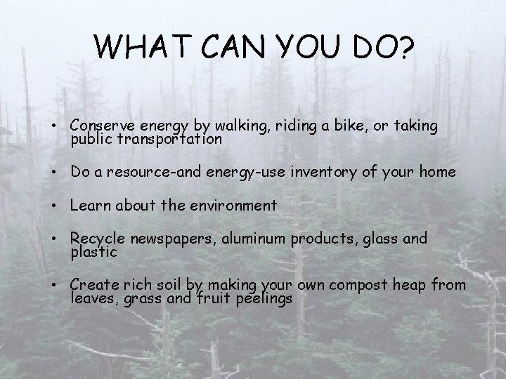 WHAT CAN YOU DO? • Conserve energy by walking, riding a bike, or taking