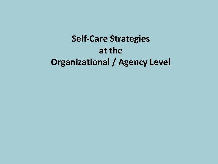 Self-Care Strategies at the Organizational / Agency Level 