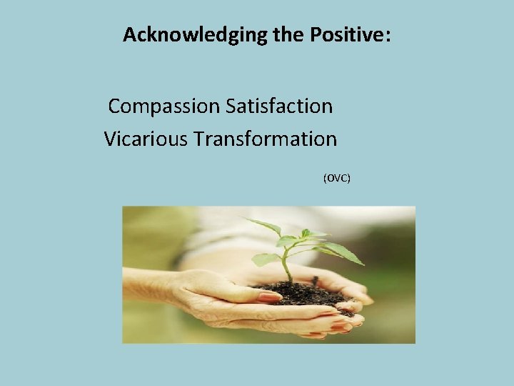 Acknowledging the Positive: Compassion Satisfaction Vicarious Transformation (OVC) 