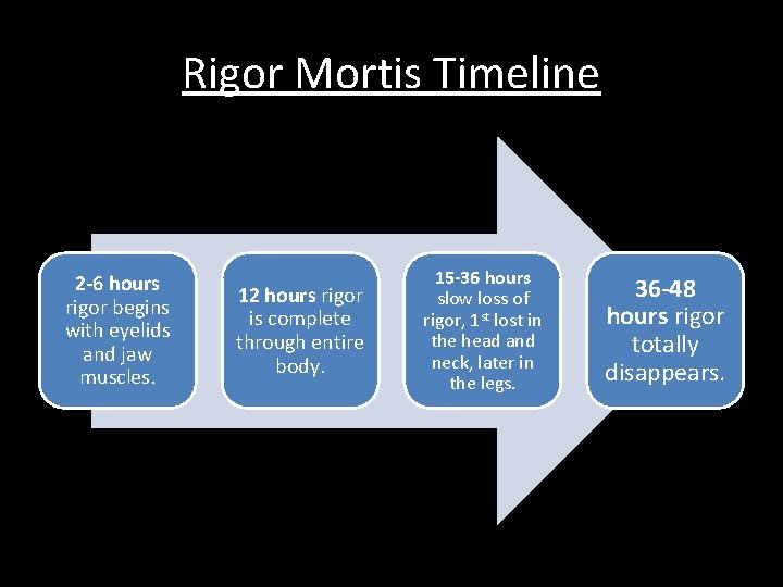 Rigor Mortis Timeline 2 -6 hours rigor begins with eyelids and jaw muscles. 12