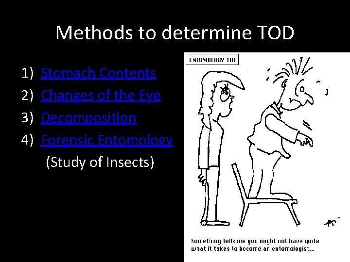 Methods to determine TOD 1) 2) 3) 4) Stomach Contents Changes of the Eye