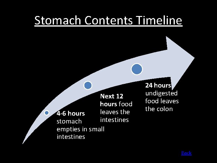 Stomach Contents Timeline Next 12 hours food leaves the 4 -6 hours intestines stomach