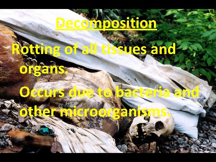 Decomposition Rotting of all tissues and organs. Occurs due to bacteria and other microorganisms.