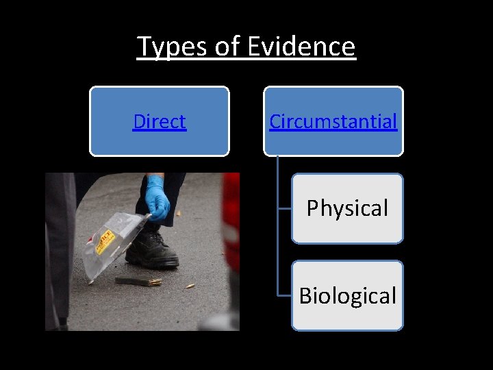 Types of Evidence Direct Circumstantial Physical Biological 