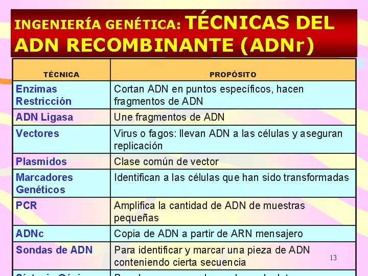 INGENIERÍA GENÉTICA: TÉCNICAS DEL ADN RECOMBINANTE (ADNr) TÉCNICA PROPÓSITO Enzimas Restricción Cortan ADN en