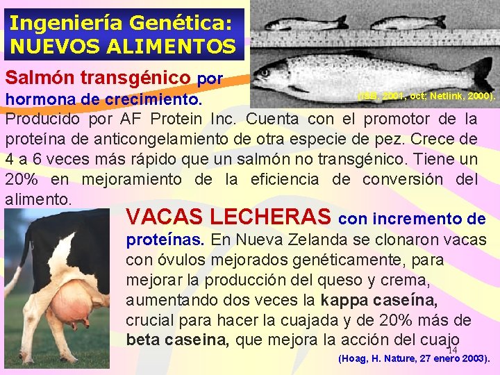 Ingeniería Genética: NUEVOS ALIMENTOS Salmón transgénico por (ISB, 2001, oct; Netlink, 2000). hormona de