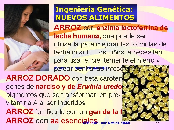 Ingeniería Genética: NUEVOS ALIMENTOS ARROZ con enzima lactoferrina de leche humana, que puede ser