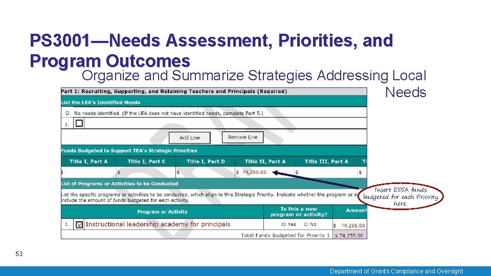 PS 3001—Needs Assessment, Priorities, and Program Outcomes Organize and Summarize Strategies Addressing Local Needs