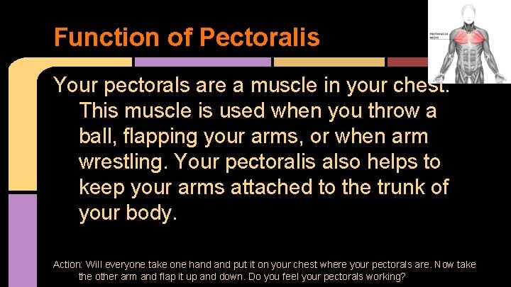 Function of Pectoralis Your pectorals are a muscle in your chest. This muscle is