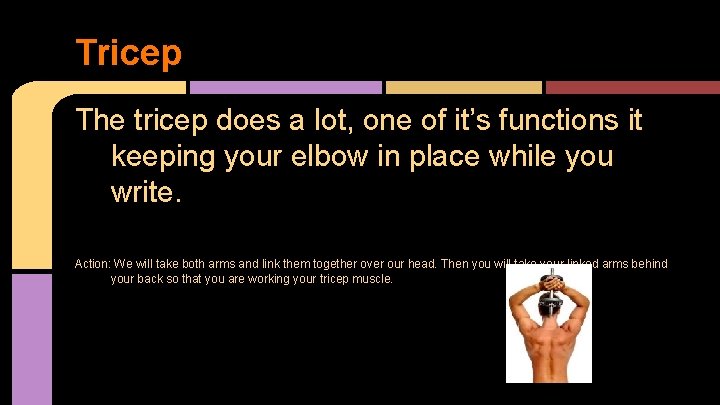 Tricep The tricep does a lot, one of it’s functions it keeping your elbow