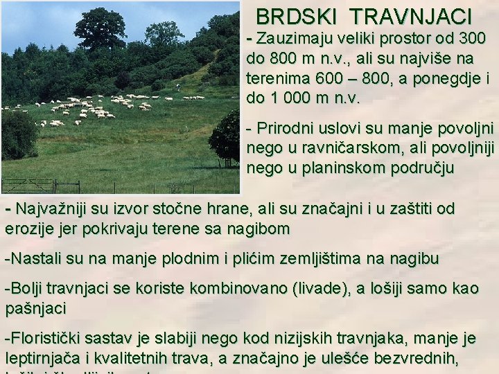 BRDSKI TRAVNJACI - Zauzimaju veliki prostor od 300 do 800 m n. v. , BRDSKI TRAVNJACI - Zauzimaju veliki prostor od 300 do 800 m n. v. ,