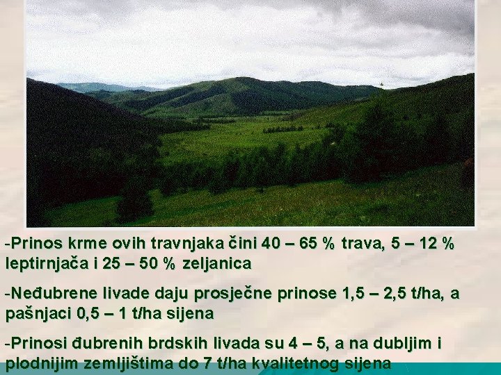 -Prinos krme ovih travnjaka čini 40 – 65 % trava, 5 – 12 % -Prinos krme ovih travnjaka čini 40 – 65 % trava, 5 – 12 %