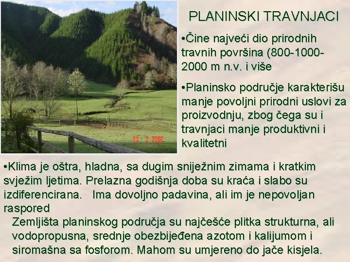 PLANINSKI TRAVNJACI • Čine najveći dio prirodnih travnih površina (800 -10002000 m n. v. PLANINSKI TRAVNJACI • Čine najveći dio prirodnih travnih površina (800 -10002000 m n. v.