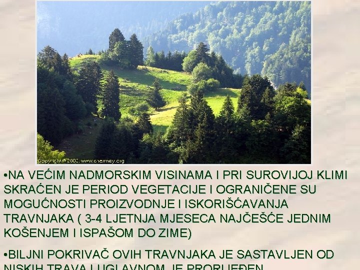• NA VEĆIM NADMORSKIM VISINAMA I PRI SUROVIJOJ KLIMI SKRAĆEN JE PERIOD VEGETACIJE • NA VEĆIM NADMORSKIM VISINAMA I PRI SUROVIJOJ KLIMI SKRAĆEN JE PERIOD VEGETACIJE