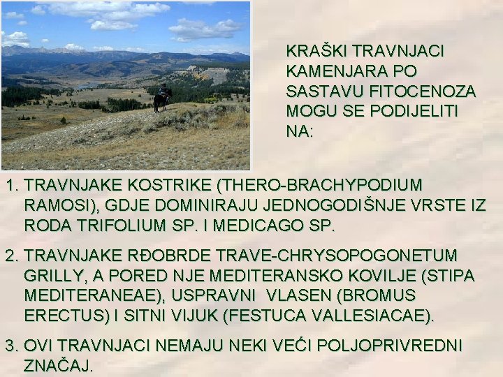 KRAŠKI TRAVNJACI KAMENJARA PO SASTAVU FITOCENOZA MOGU SE PODIJELITI NA: 1. TRAVNJAKE KOSTRIKE (THERO-BRACHYPODIUM KRAŠKI TRAVNJACI KAMENJARA PO SASTAVU FITOCENOZA MOGU SE PODIJELITI NA: 1. TRAVNJAKE KOSTRIKE (THERO-BRACHYPODIUM