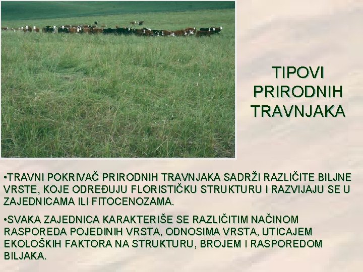TIPOVI PRIRODNIH TRAVNJAKA • TRAVNI POKRIVAČ PRIRODNIH TRAVNJAKA SADRŽI RAZLIČITE BILJNE VRSTE, KOJE ODREĐUJU TIPOVI PRIRODNIH TRAVNJAKA • TRAVNI POKRIVAČ PRIRODNIH TRAVNJAKA SADRŽI RAZLIČITE BILJNE VRSTE, KOJE ODREĐUJU