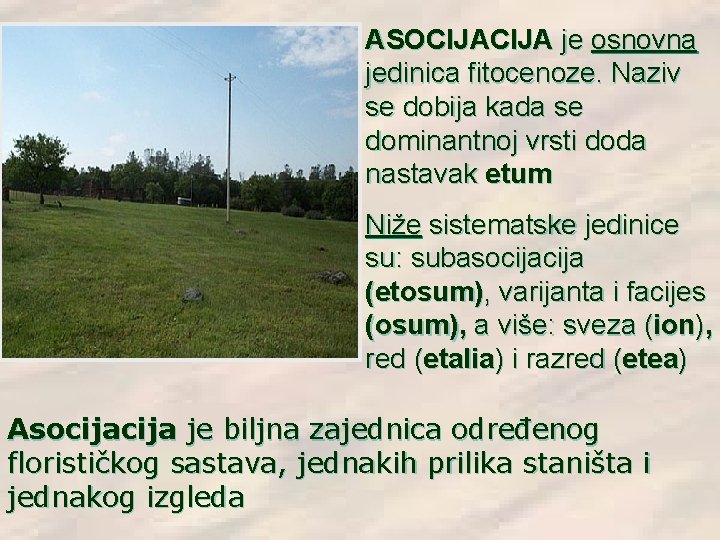 ASOCIJA je osnovna jedinica fitocenoze. Naziv se dobija kada se dominantnoj vrsti doda nastavak ASOCIJA je osnovna jedinica fitocenoze. Naziv se dobija kada se dominantnoj vrsti doda nastavak