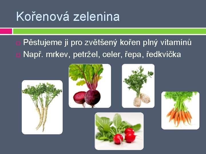 Kořenová zelenina Pěstujeme ji pro zvětšený kořen plný vitamínů Např. mrkev, petržel, celer, řepa,