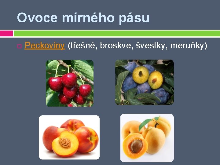 Ovoce mírného pásu Peckoviny (třešně, broskve, švestky, meruňky) 