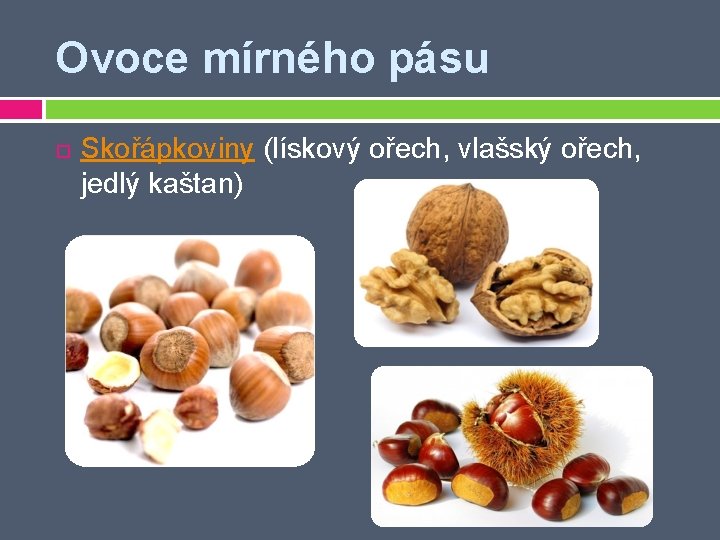 Ovoce mírného pásu Skořápkoviny (lískový ořech, vlašský ořech, jedlý kaštan) 