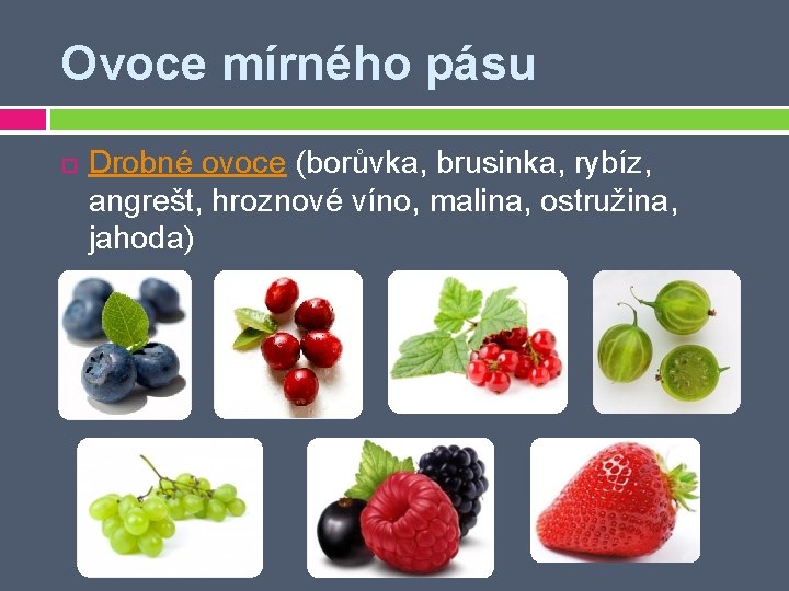 Ovoce mírného pásu Drobné ovoce (borůvka, brusinka, rybíz, angrešt, hroznové víno, malina, ostružina, jahoda)