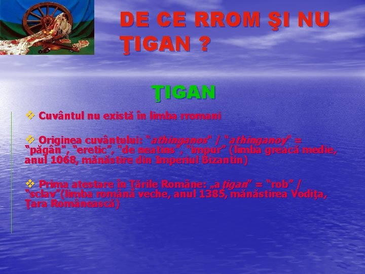 DE CE RROM ŞI NU ŢIGAN ? ŢIGAN v Cuvântul nu există în limba