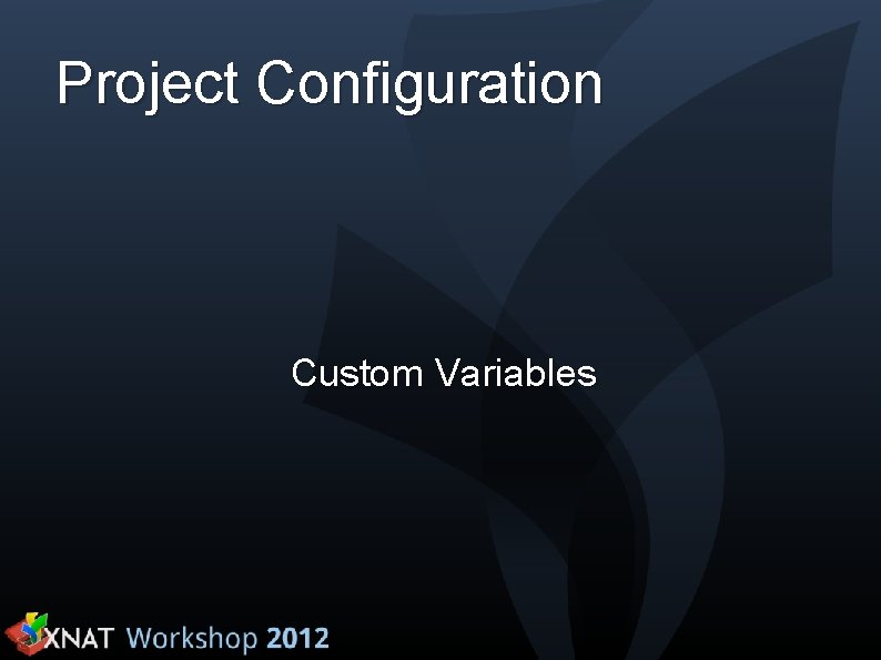 Project Configuration Custom Variables 