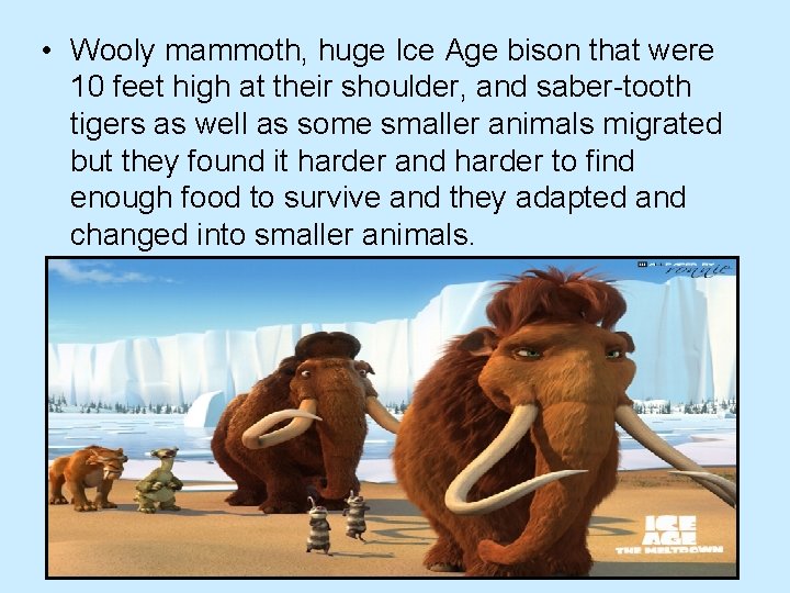  • Wooly mammoth, huge Ice Age bison that were 10 feet high at