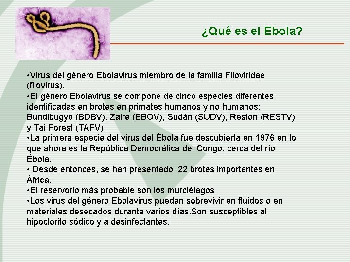 ¿Qué es el Ebola? • Virus del género Ebolavirus miembro de la familia Filoviridae