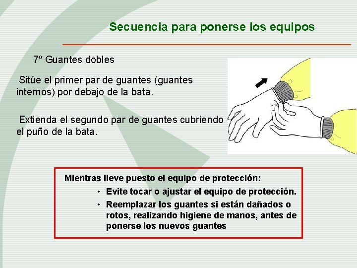 Secuencia para ponerse los equipos 7º Guantes dobles Sitúe el primer par de guantes