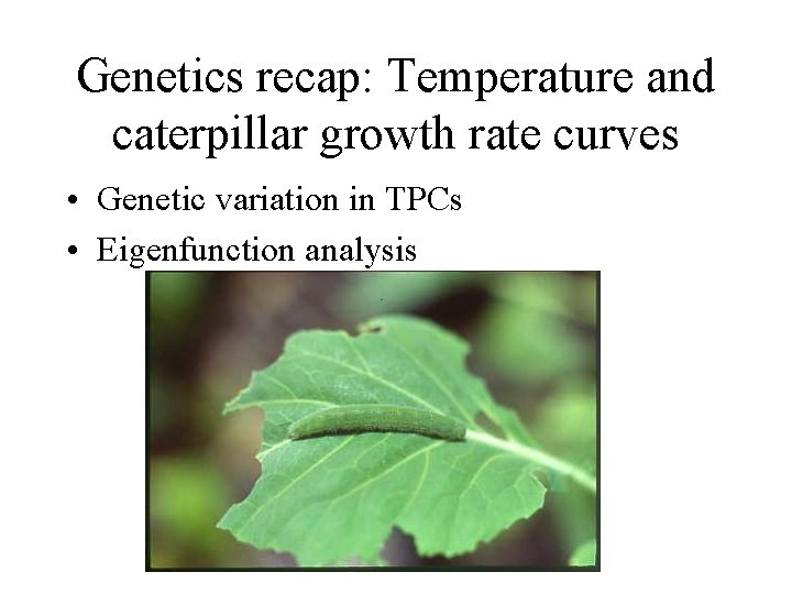 Genetics recap: Temperature and caterpillar growth rate curves • Genetic variation in TPCs •
