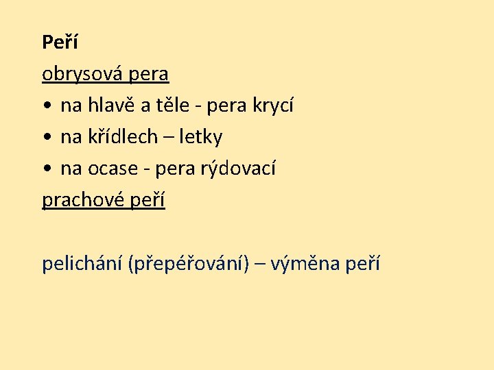 Peří obrysová pera • na hlavě a těle - pera krycí • na křídlech