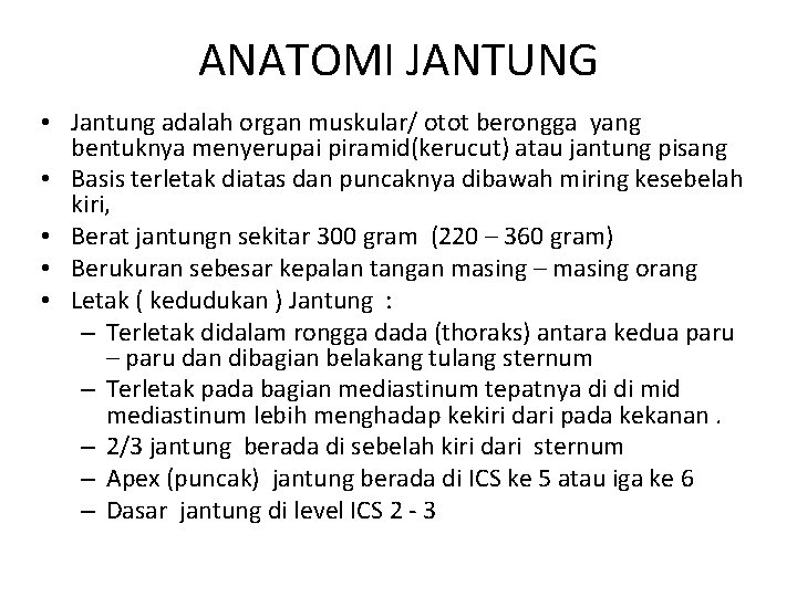 ANATOMI JANTUNG • Jantung adalah organ muskular/ otot berongga yang bentuknya menyerupai piramid(kerucut) atau