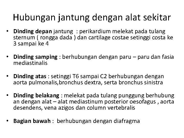 Hubungan jantung dengan alat sekitar • Dinding depan jantung : perikardium melekat pada tulang