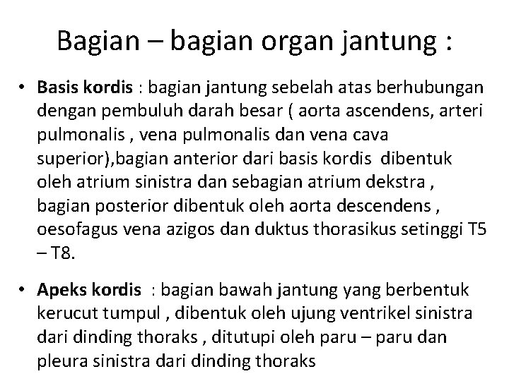 Bagian – bagian organ jantung : • Basis kordis : bagian jantung sebelah atas