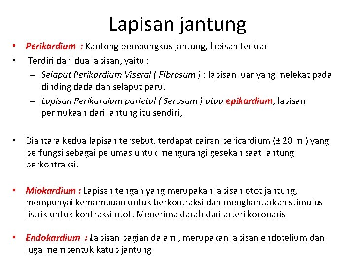 Lapisan jantung • Perikardium : Kantong pembungkus jantung, lapisan terluar • Terdiri dari dua