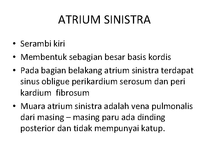 ATRIUM SINISTRA • Serambi kiri • Membentuk sebagian besar basis kordis • Pada bagian