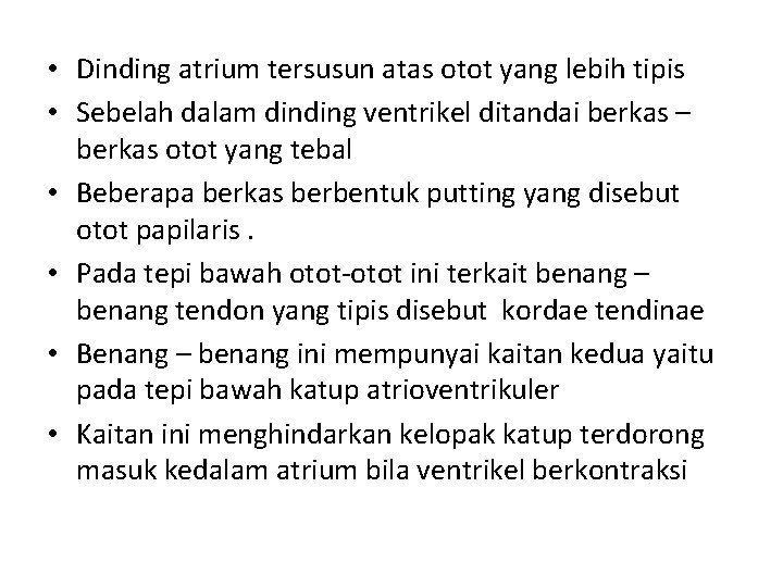  • Dinding atrium tersusun atas otot yang lebih tipis • Sebelah dalam dinding