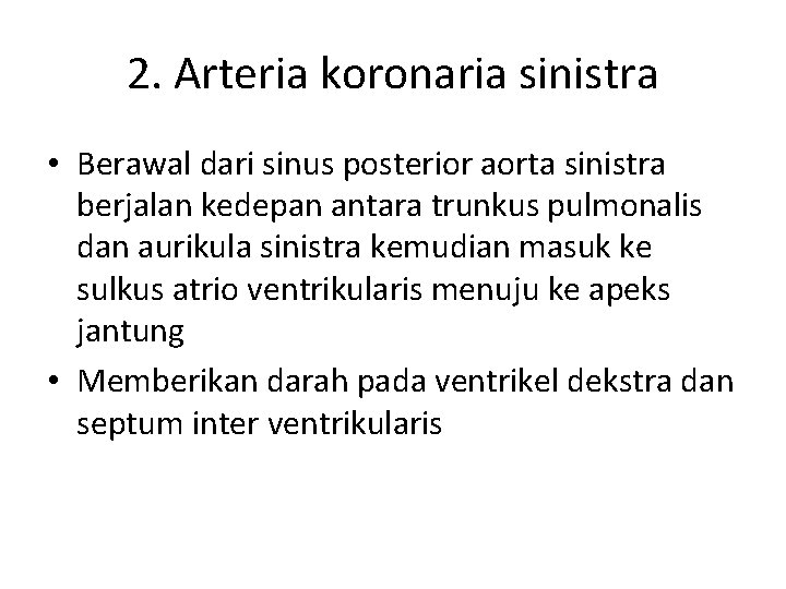2. Arteria koronaria sinistra • Berawal dari sinus posterior aorta sinistra berjalan kedepan antara