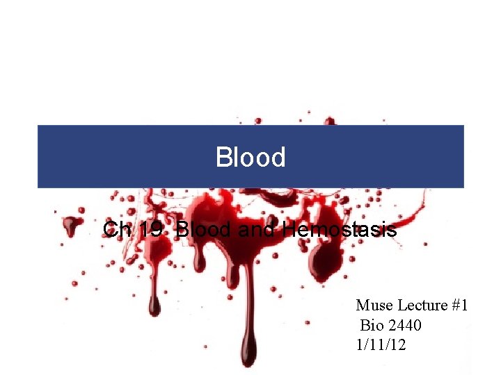 Blood Ch 19 Blood and Hemostasis Muse Lecture #1 Bio 2440 1/11/12 